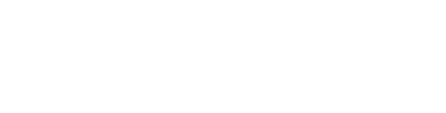 Vivicta
